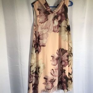 Blush Scoop Neck Dress